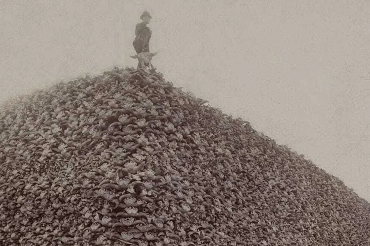 Frank Mayer, asesino de búfalos